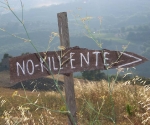 no kill- torrente Ente