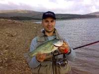 persico trota-guardialfiera