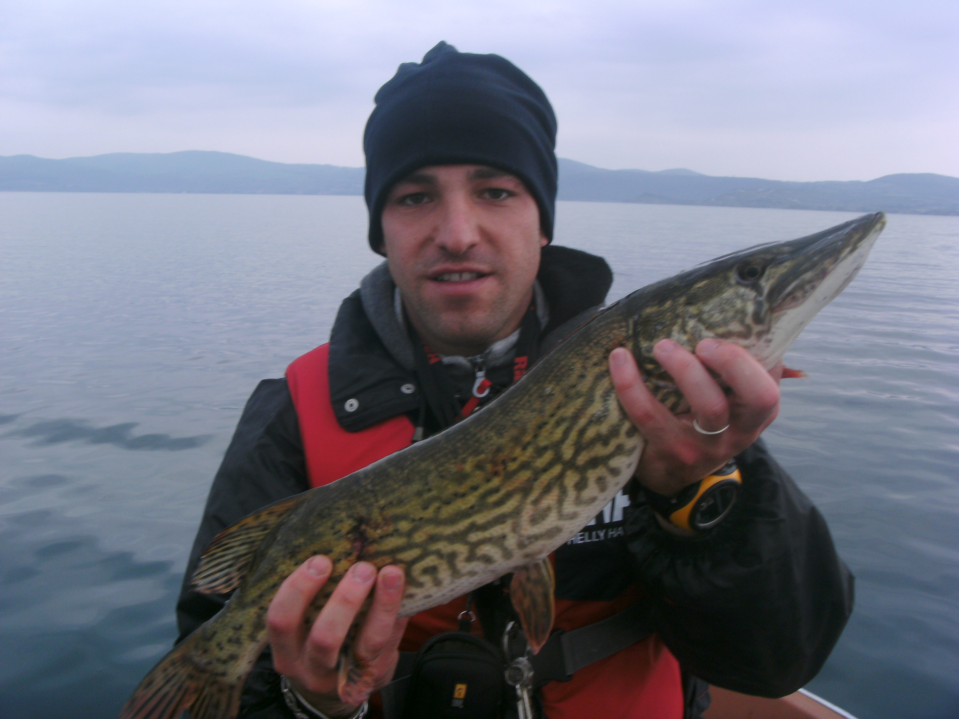 Luccio pescato al lago di Bracciano